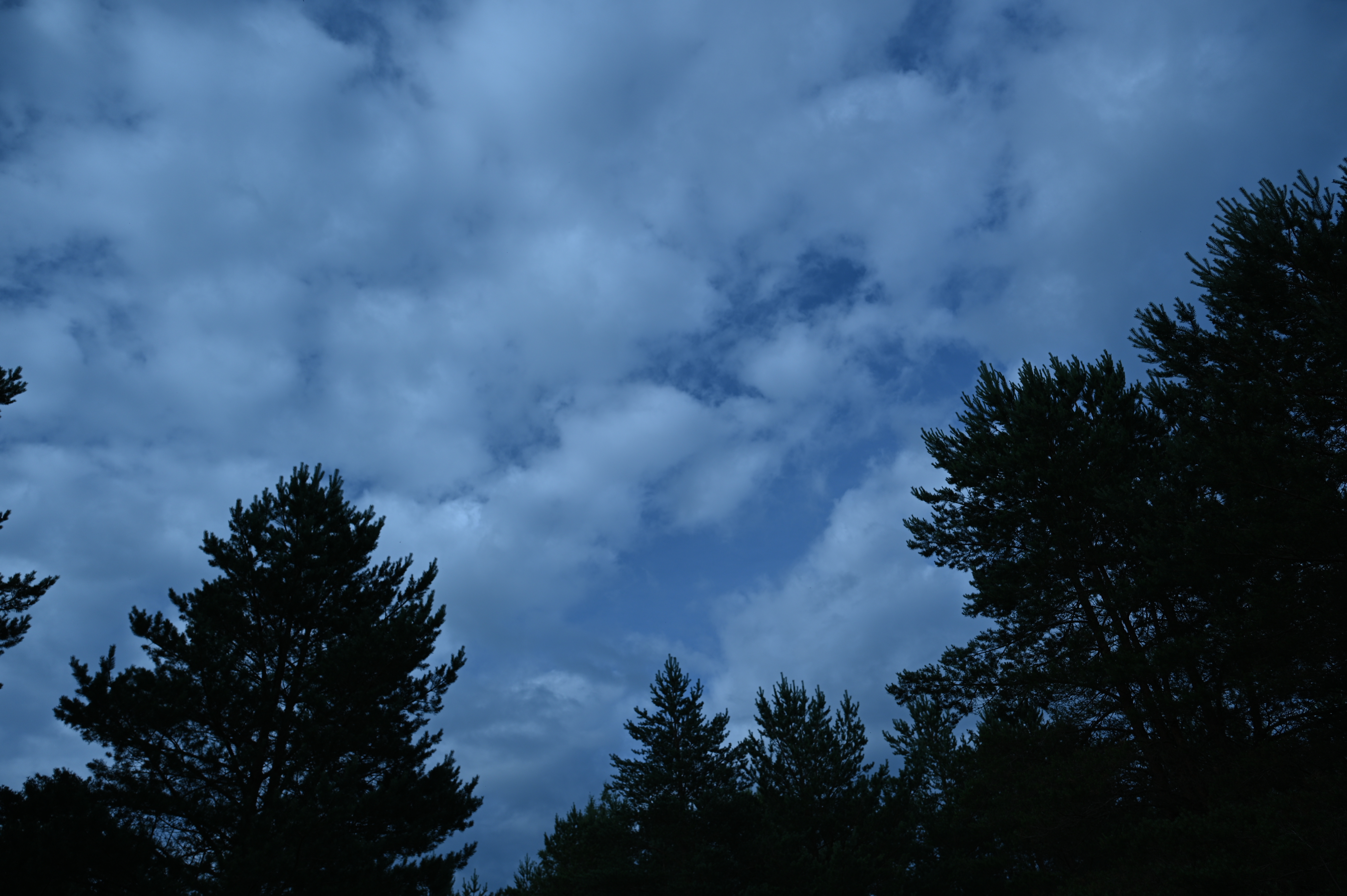 2025/07/09-14 - trip/DSC_0019.JPG